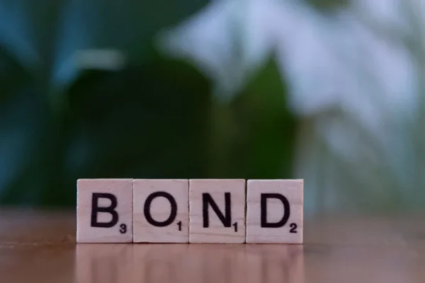 Bonds Explained: How Fixed-Income Investing Works in America